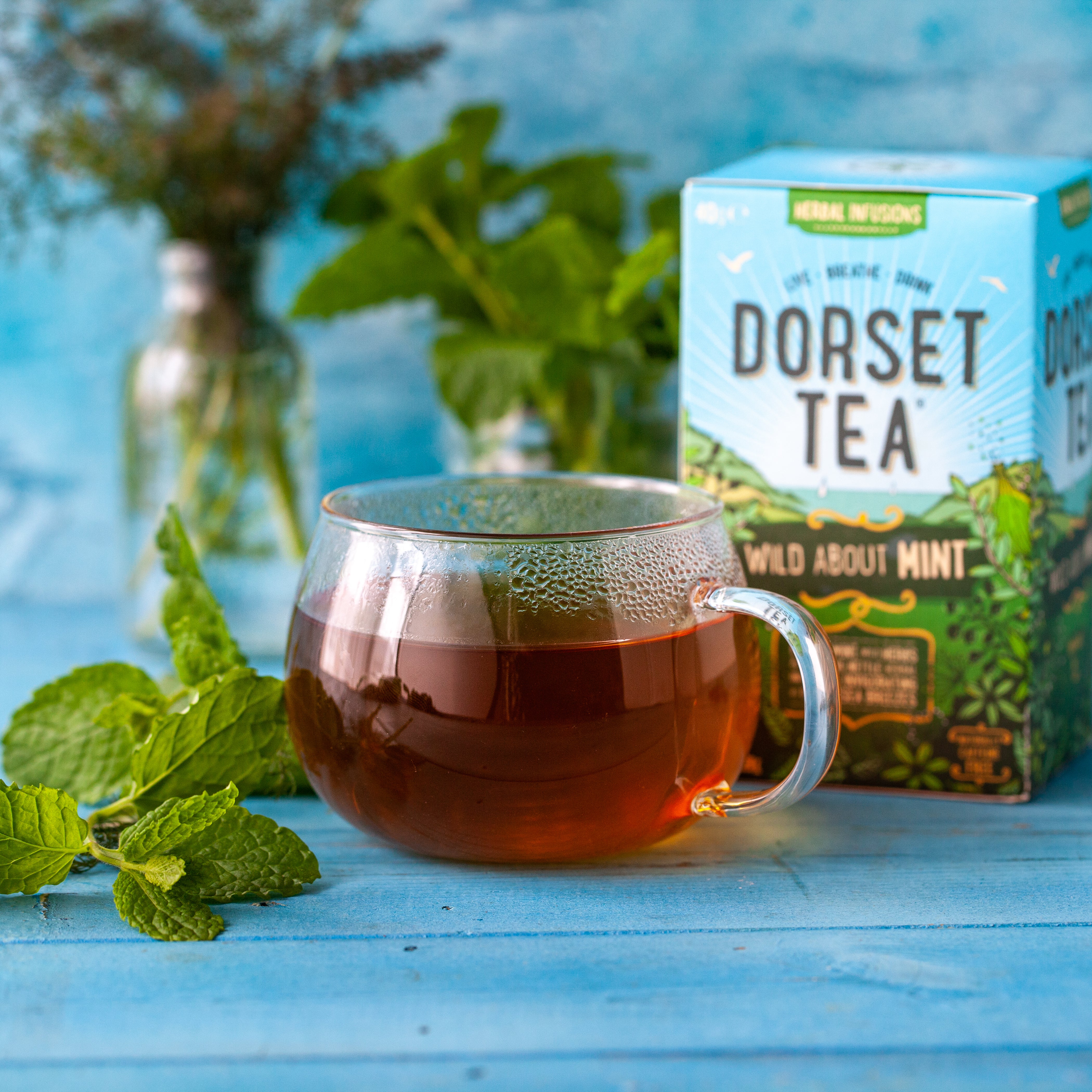 Dorset Tea Wild About Mint