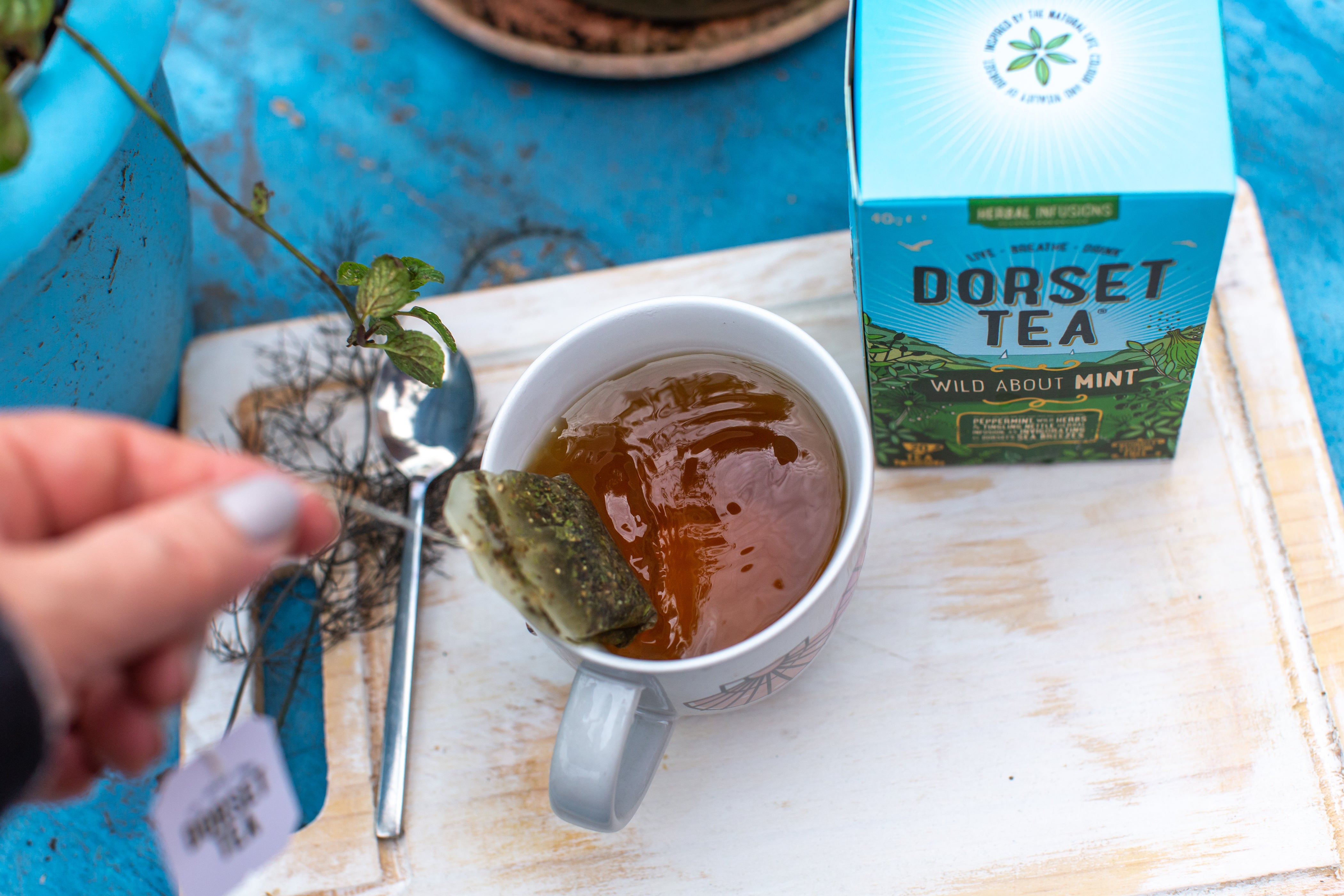 Dorset Tea Wild About Mint