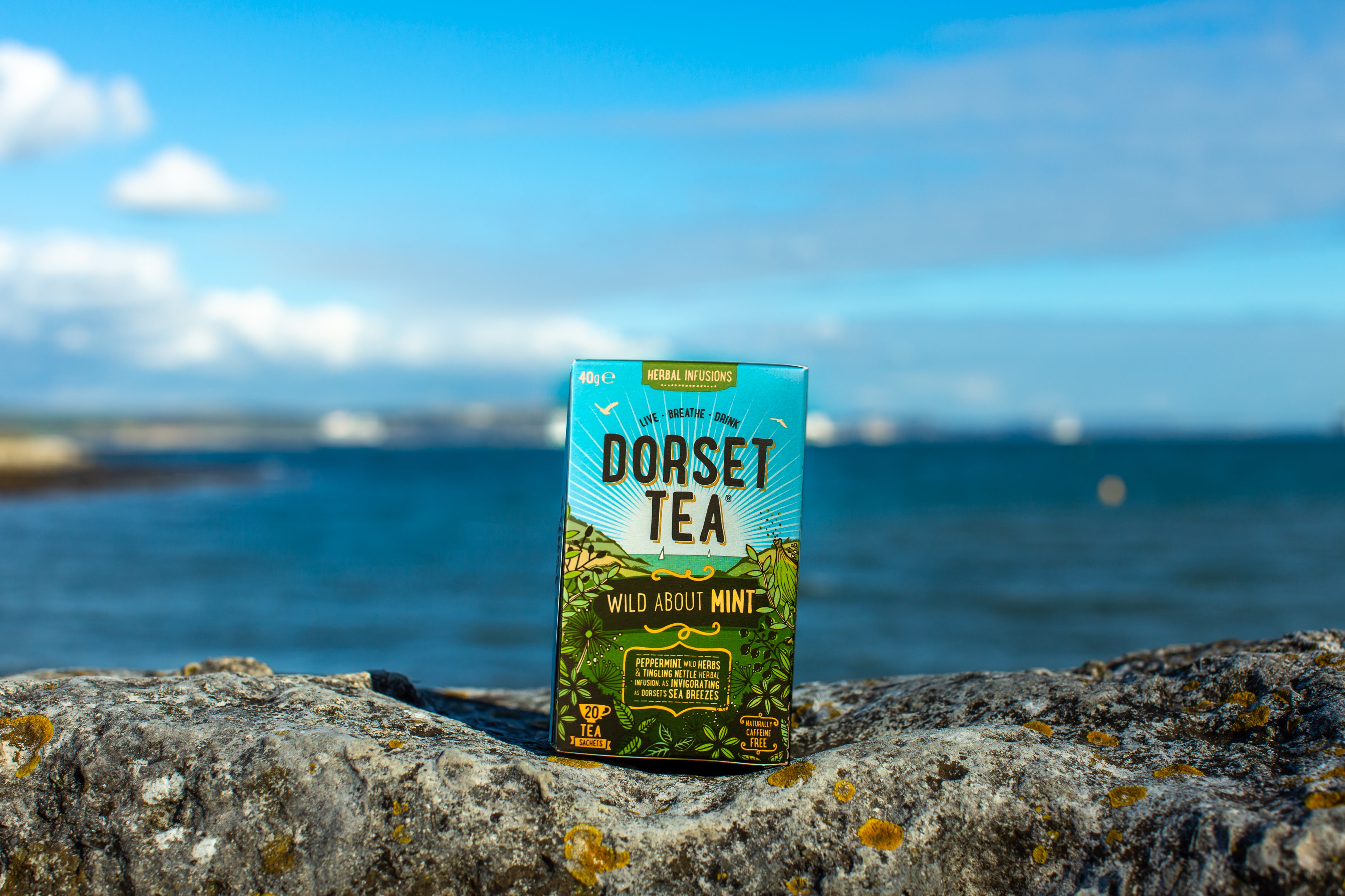 Dorset Tea Wild About Mint